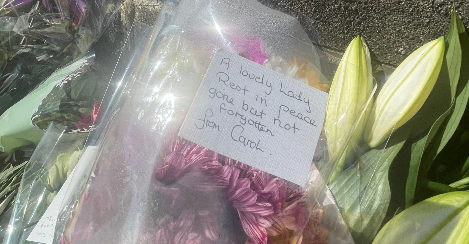 Boy, 12, smiles in court as he is accused of killing woman, 60, using her car