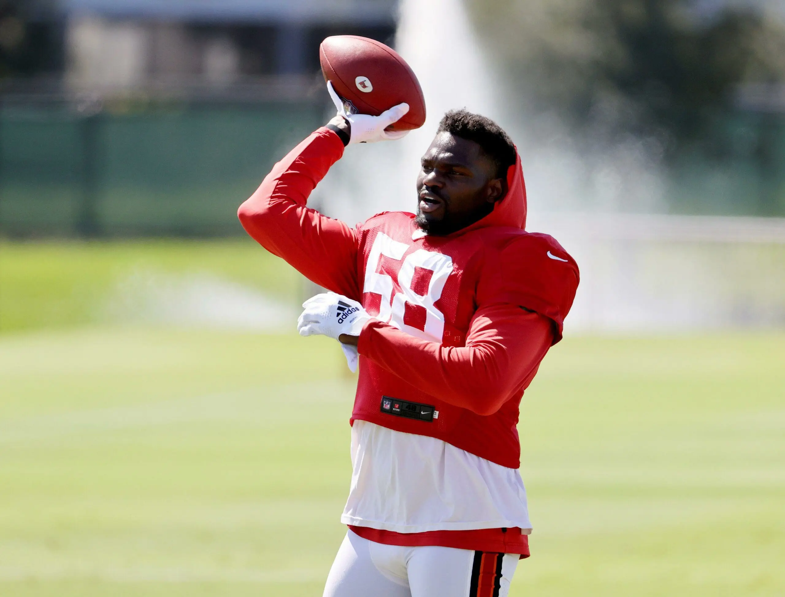 wp-image-1263209328 size-full