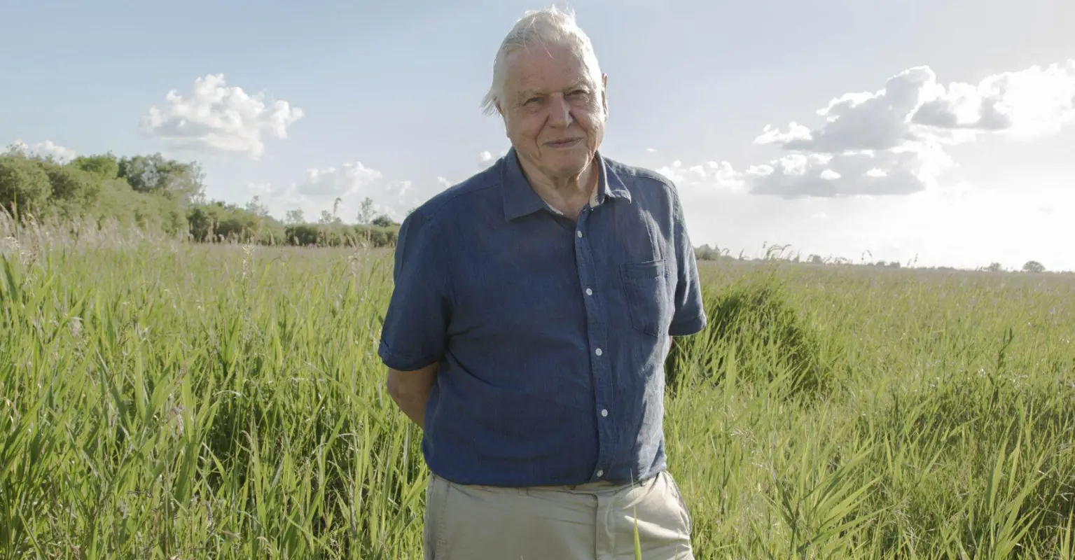 Happy Birthday, Sir David Attenborough - beloved broadcaster turns 97