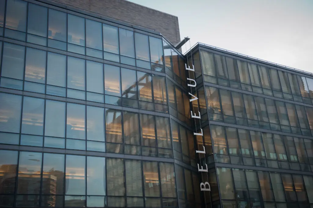 wp-image-1263210432 size-large