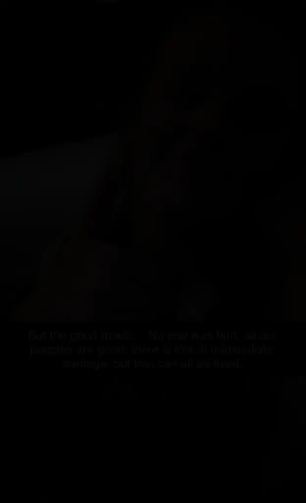 wp-image-1263211914 size-full