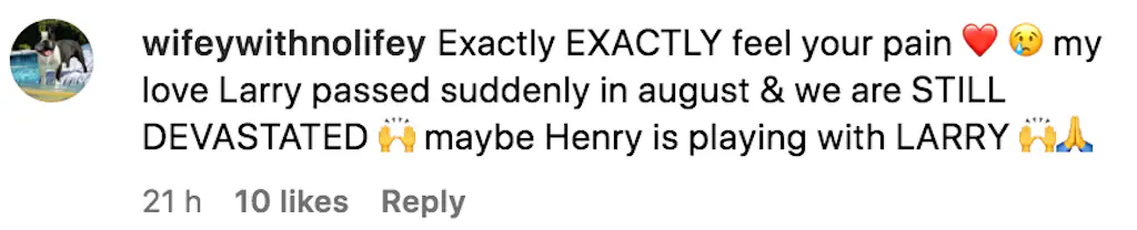 wp-image-1263210141 size-full