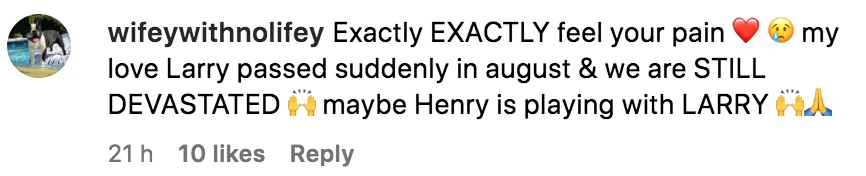 wp-image-1263210141 size-full