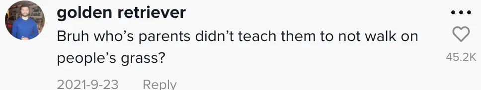 wp-image-1263211679 size-full