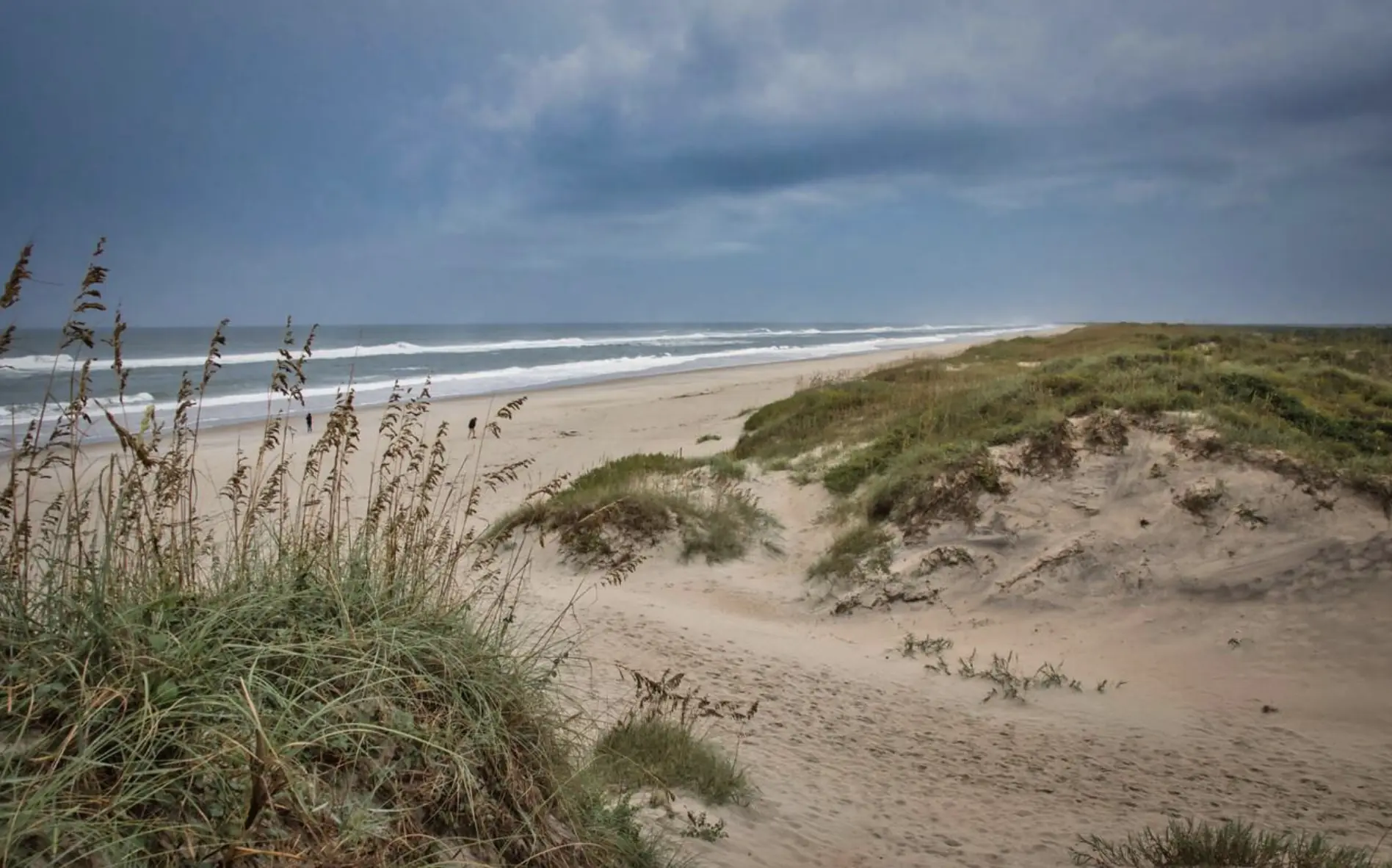 size-full wp-image-1263210802