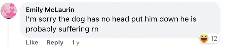 People are really having trouble understanding photo owner took of their dog - Article Image 1