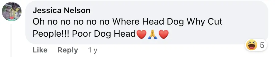 People are really having trouble understanding photo owner took of their dog - Article Image 3