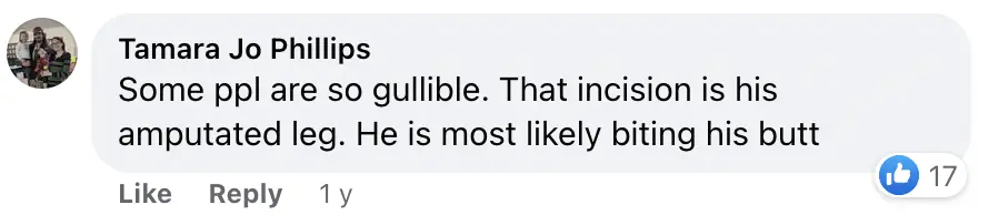 People are really having trouble understanding photo owner took of their dog - Article Image 4