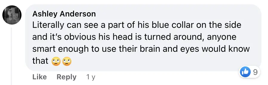 People are really having trouble understanding photo owner took of their dog - Article Image 5