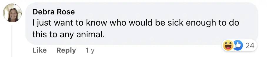 People are really having trouble understanding photo owner took of their dog - Article Image 2