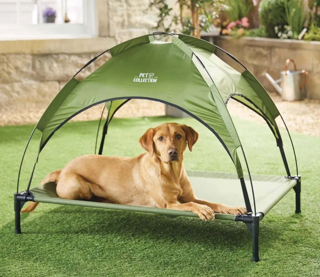 size-large wp-image-1263212703