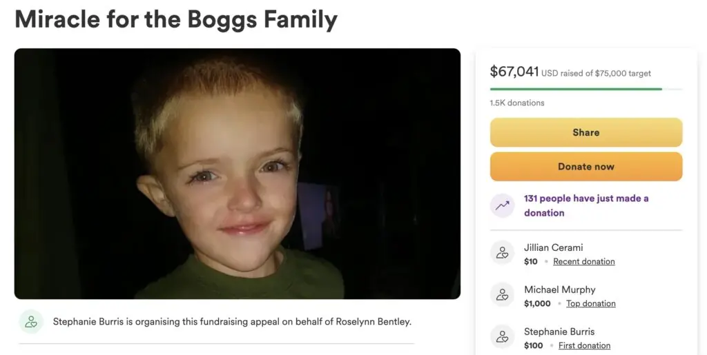 size-large wp-image-1263212999