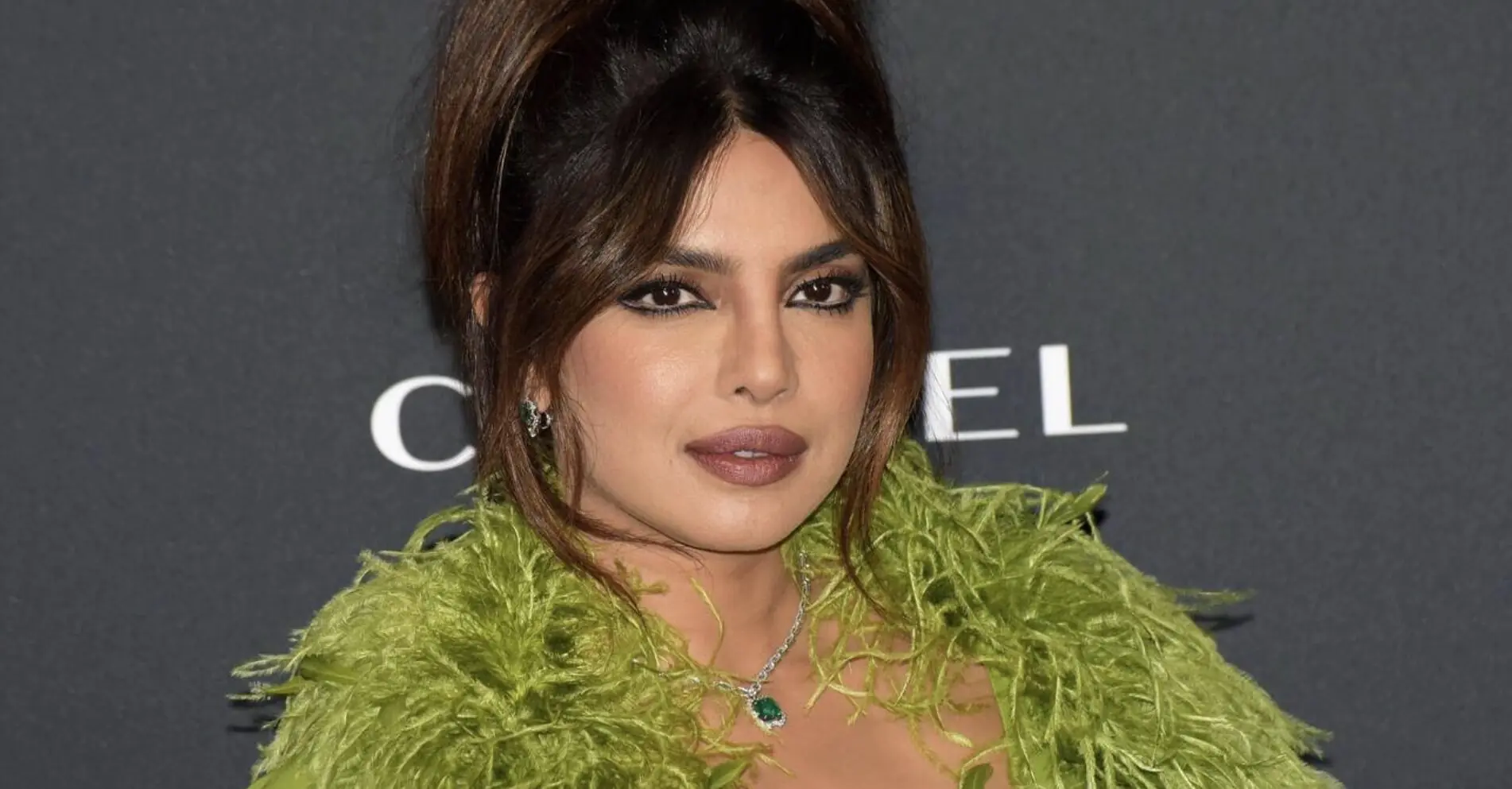 Priyanka Chopra speaks out about 'dehumanizing' moment a director asked to see her underwear