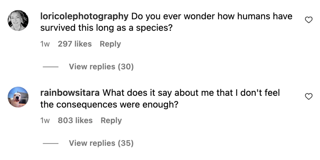 wp-image-1263213779 size-large