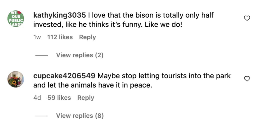 wp-image-1263213780 size-large