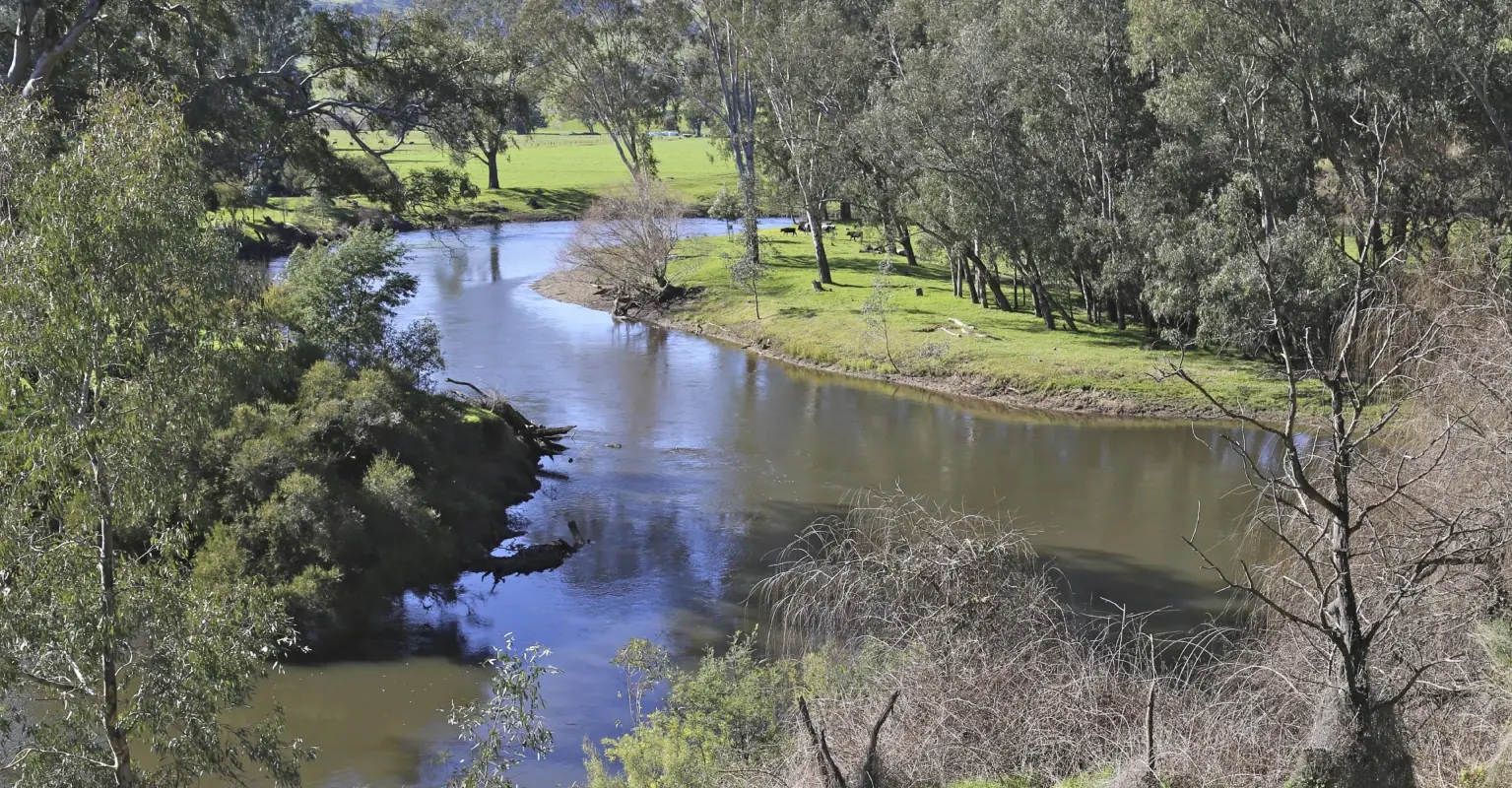 wp-image-1263210486 size-full