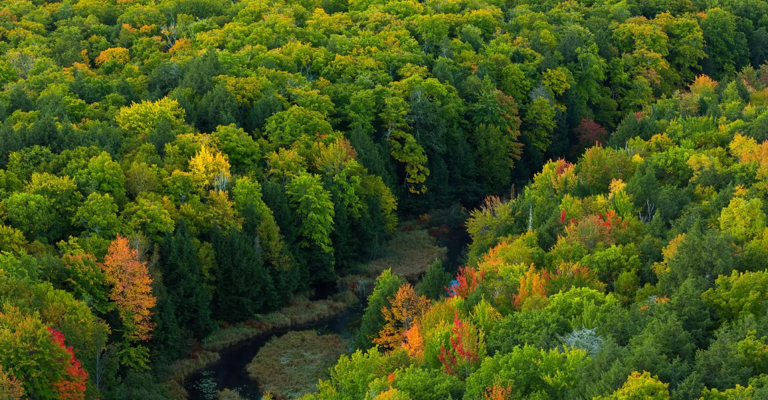 wp-image-1263210810 size-full