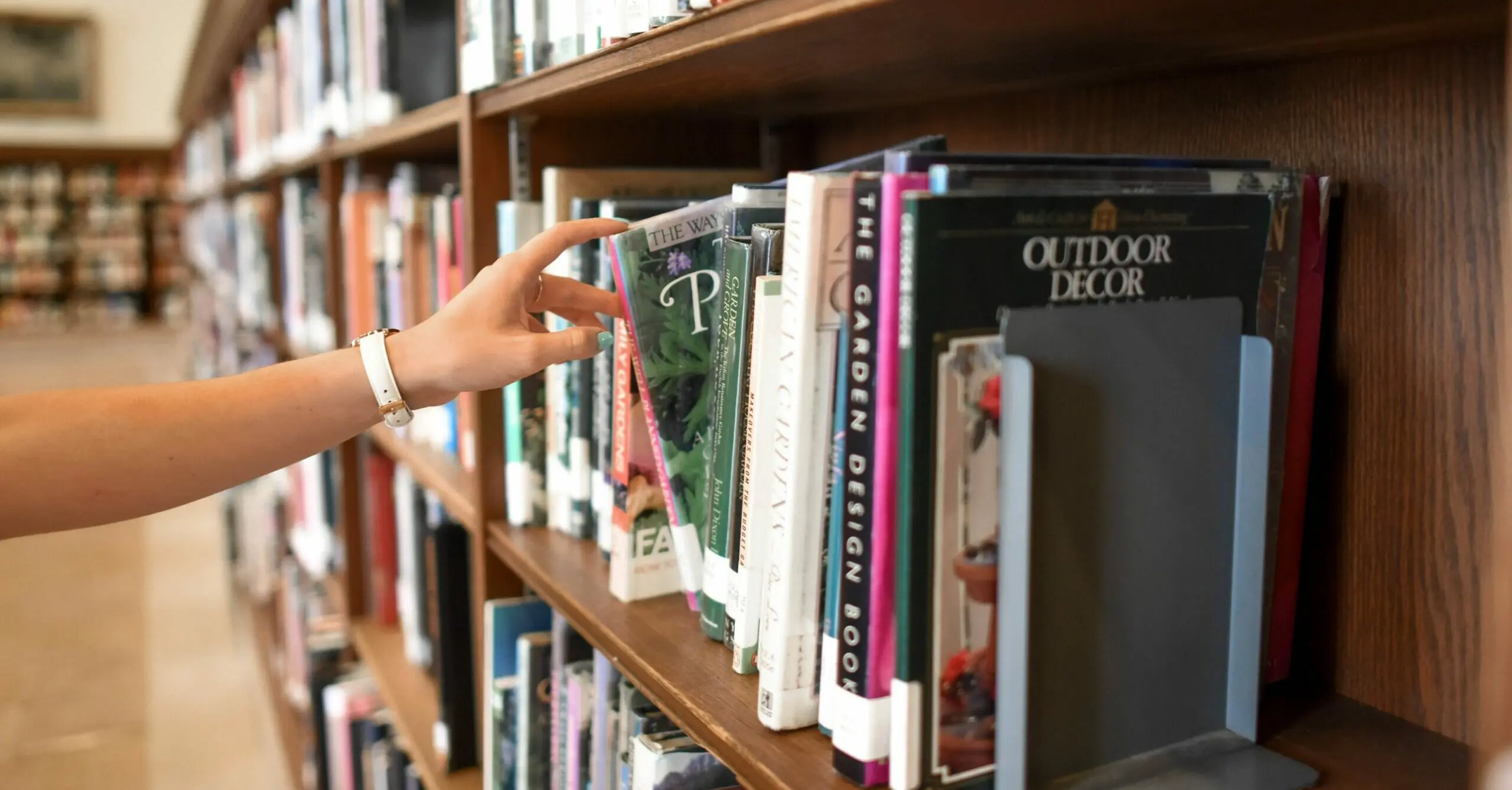 Man finally returns library book 96 years after it was due back