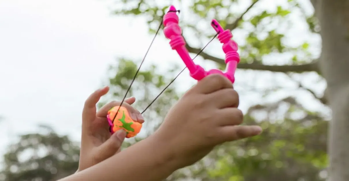 Boy, 13, praised for using his slingshot to save 8-year-old sister from kidnapper