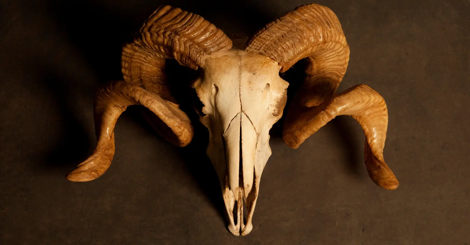 Judge rules that Pennsylvania school district must allow After School Satan Club