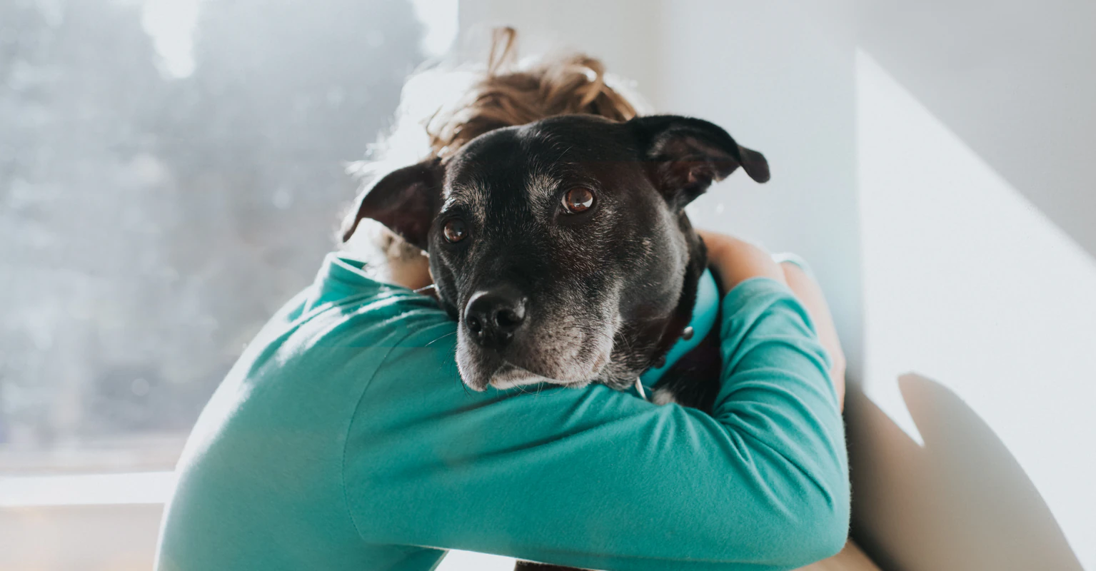 Animal behaviorist explains why pet-owners shouldn't hug their dogs