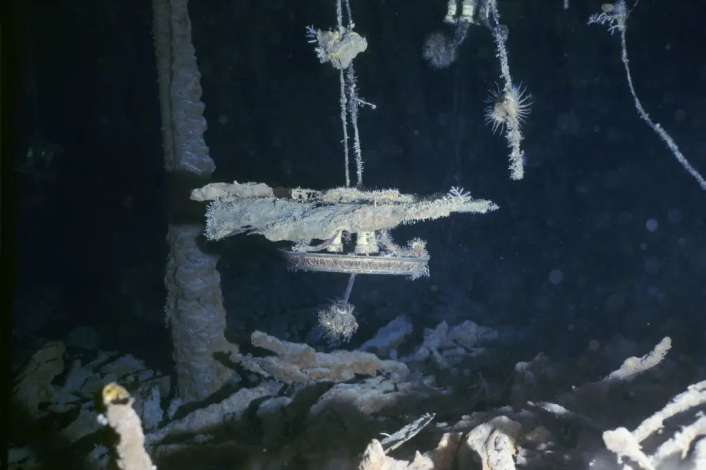 wp-image-1263217603 size-full