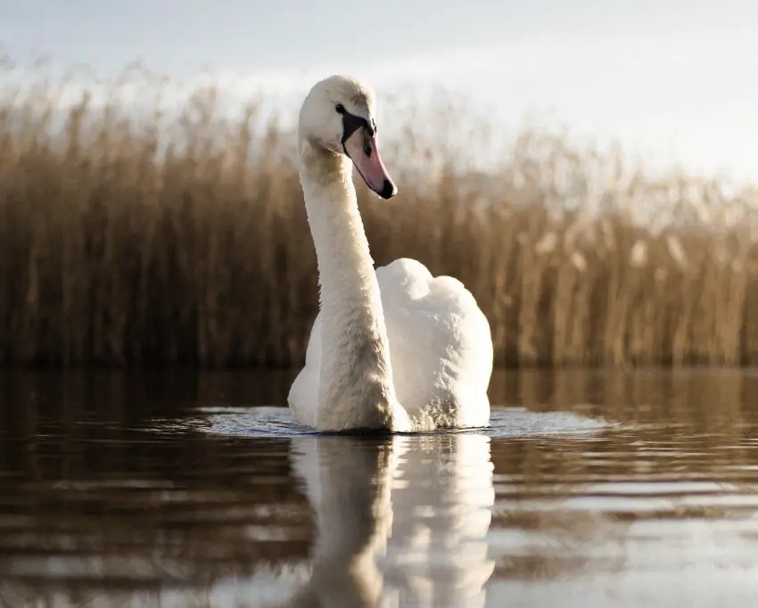 size-full wp-image-1263214261