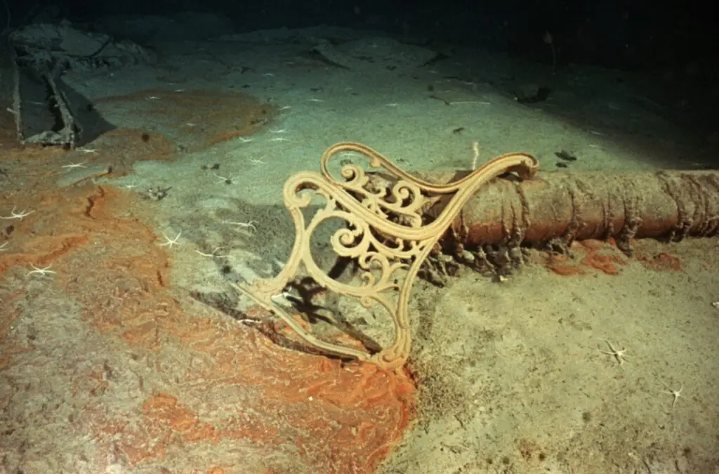 size-large wp-image-1263217626