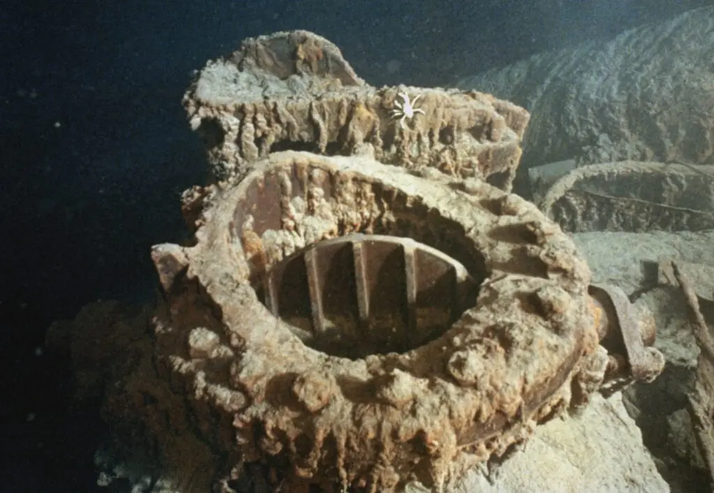 size-large wp-image-1263217627