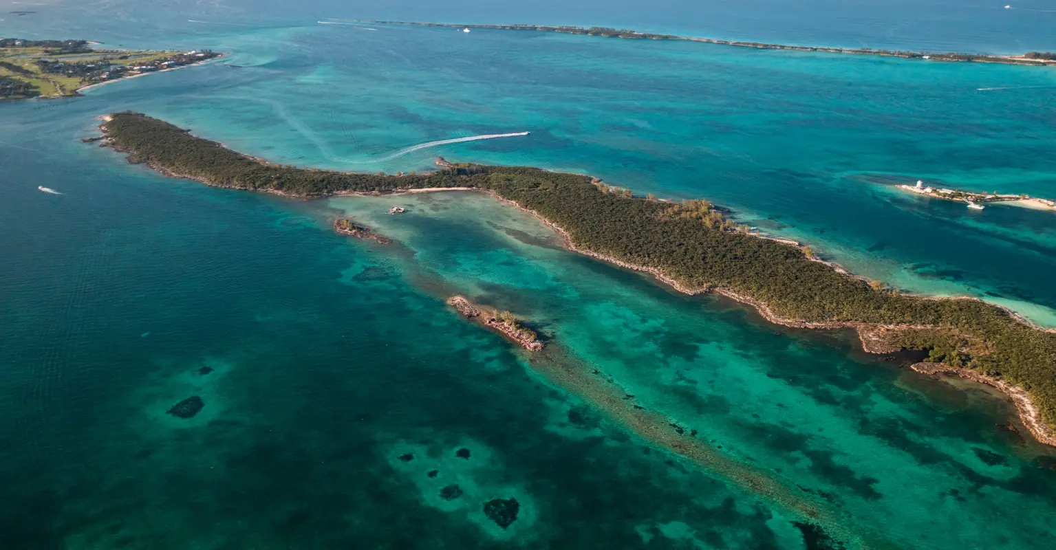 Missing teen's parents break silence after he jumped off cruise ship into 'shark-infested' waters