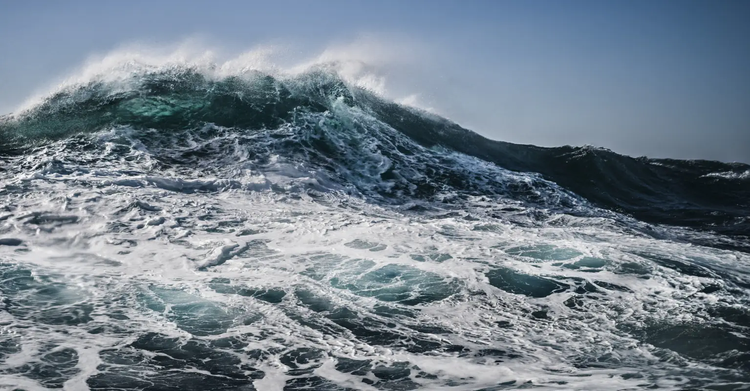 Search and rescue experts explain what may have happened to teen after he jumped into 'shark-infested' waters