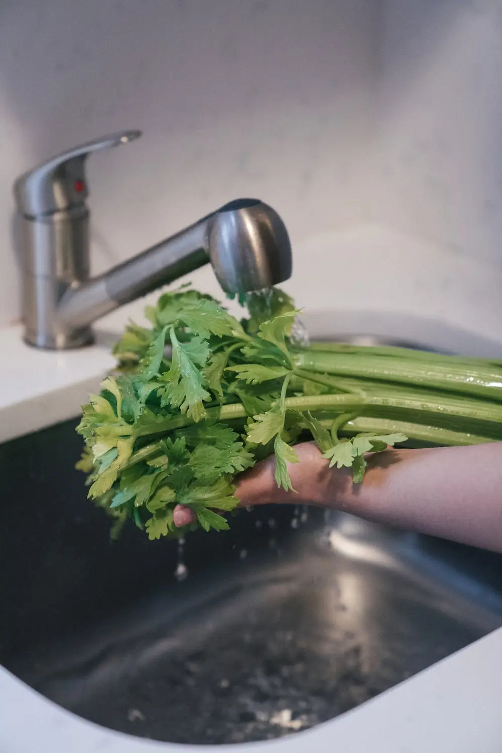 size-full wp-image-1263214351