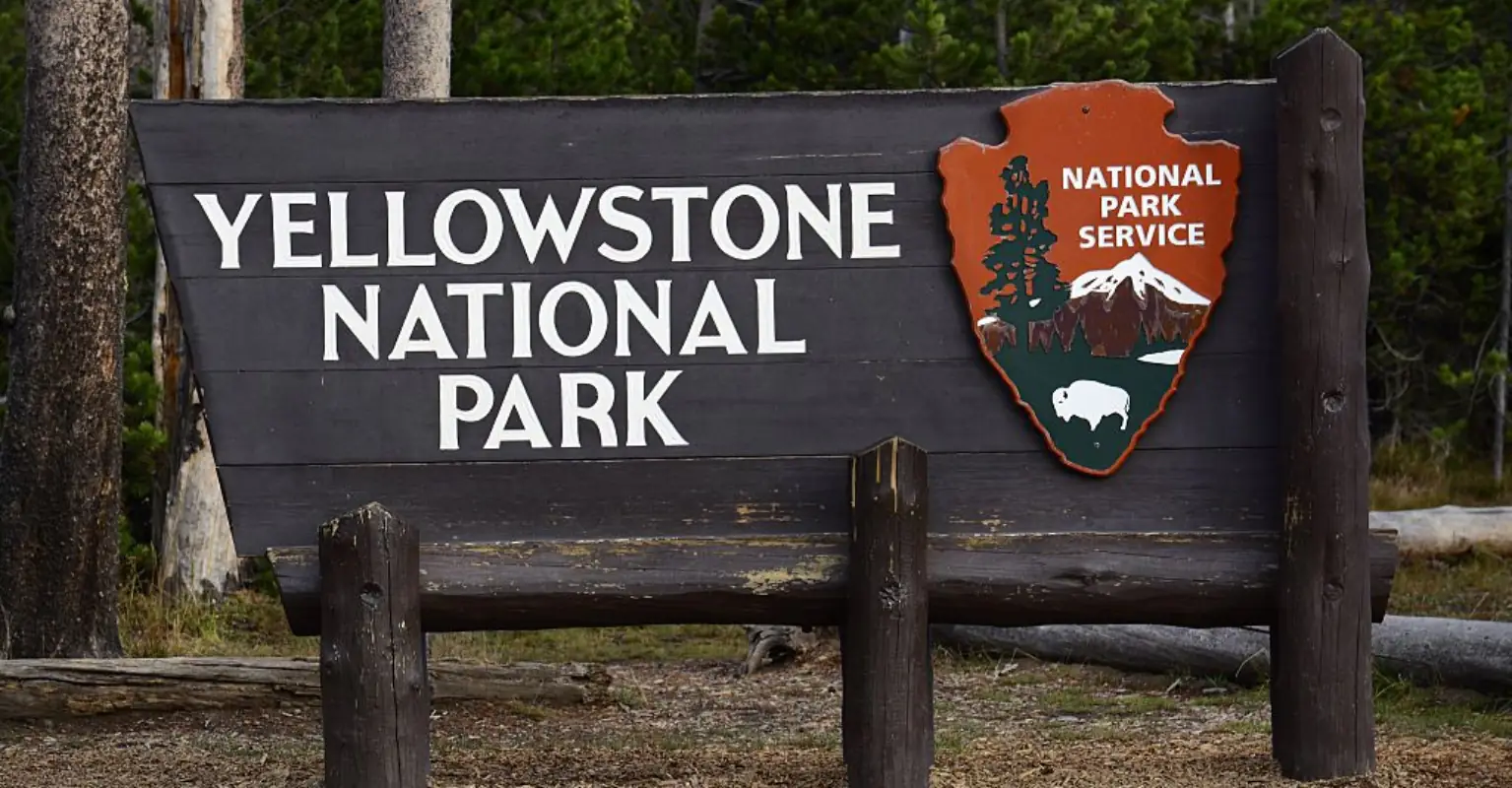 Shirtless man filmed grunting like a gorilla to terrorize Yellowstone bear may face jail