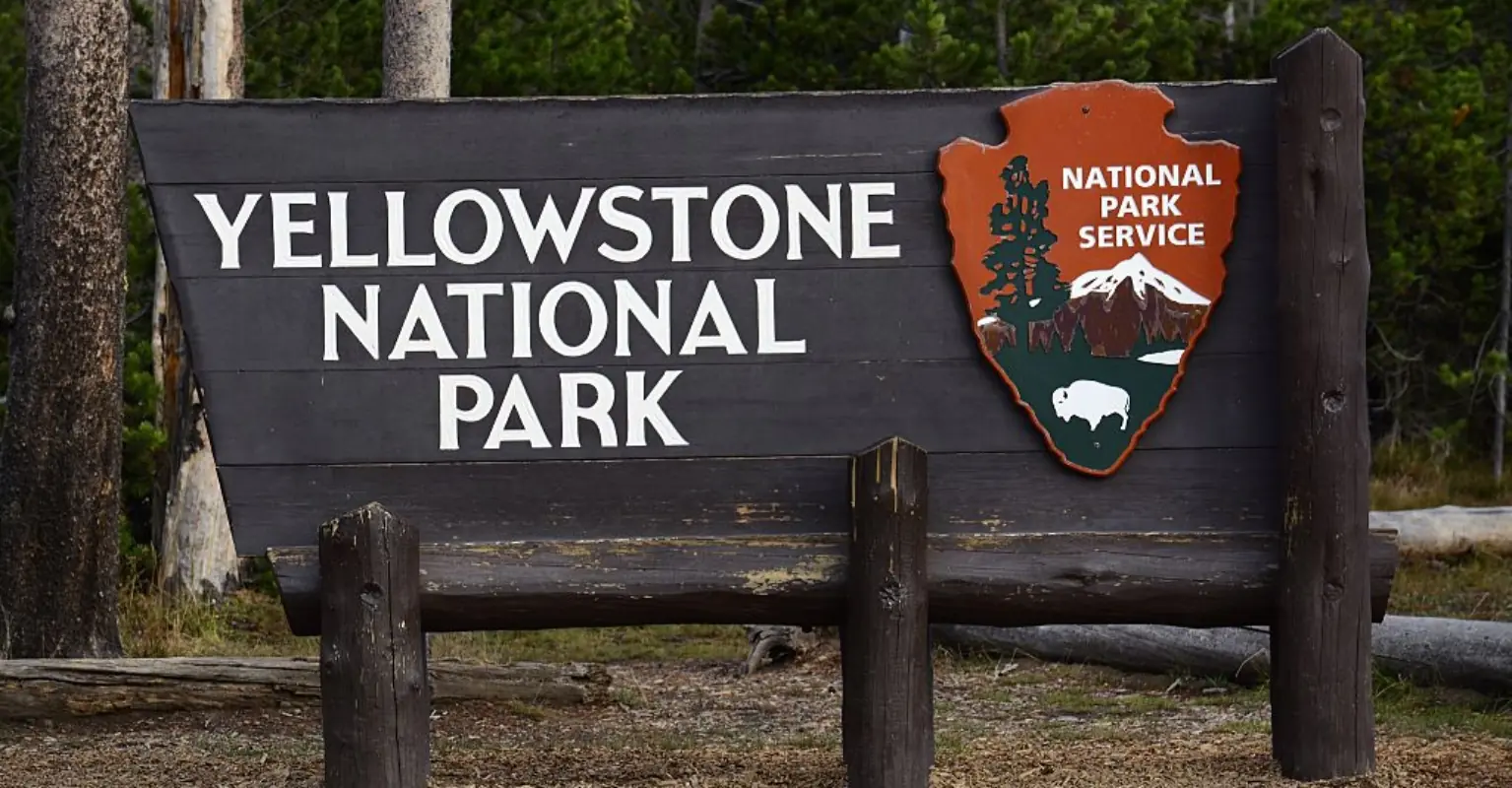 Shirtless man filmed grunting like a gorilla to terrorize Yellowstone bear may face jail