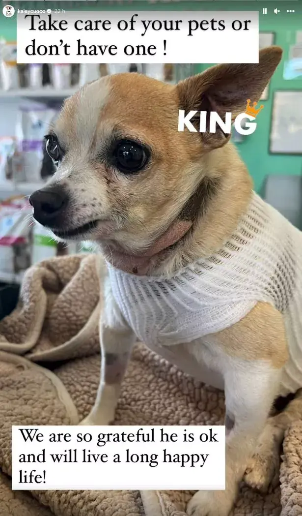 wp-image-1263221444 size-full