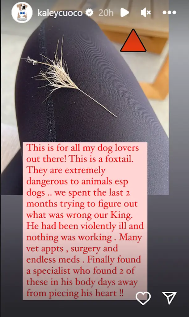 wp-image-1263221443 size-full