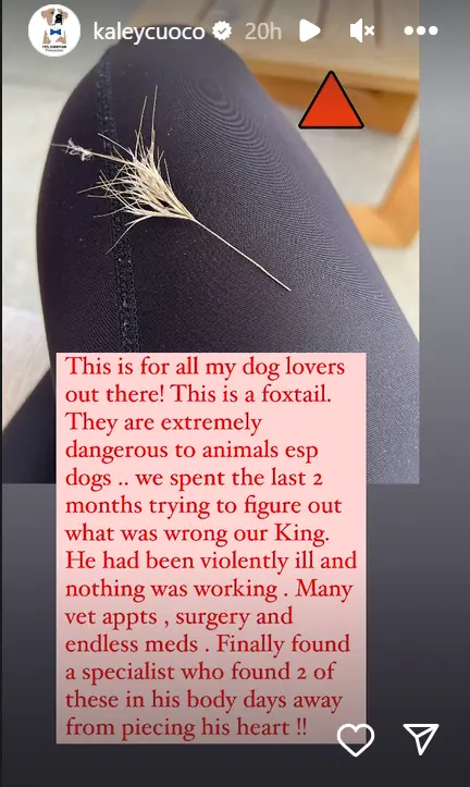 wp-image-1263221443 size-full