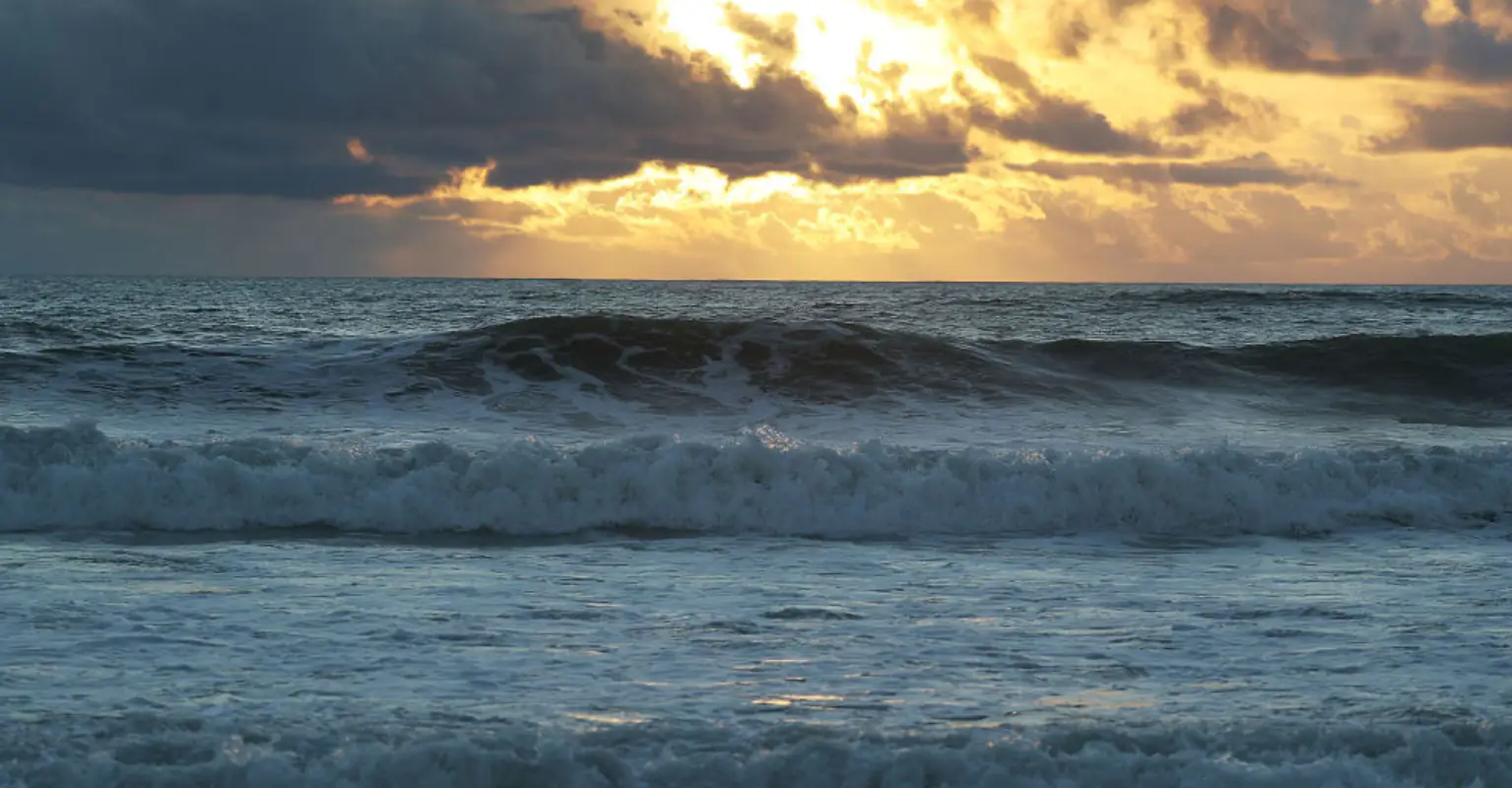 Bizarre sea creature transforms into completely different looking animal 3,700ft underwater