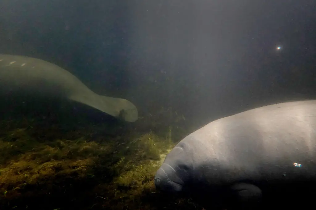 size-full wp-image-1263222720