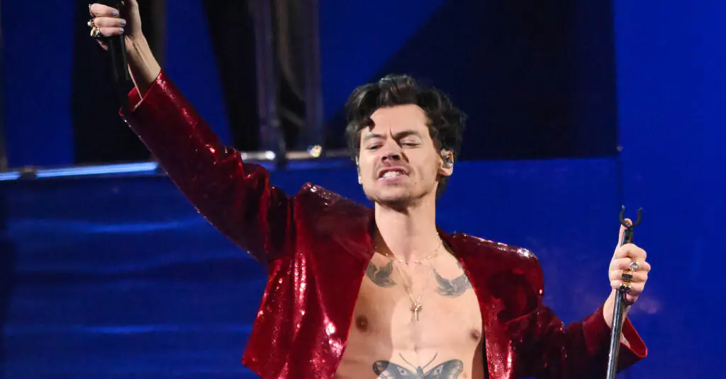 Harry Styles winces in pain after being once again hit in the eye by object thrown on stage by fan