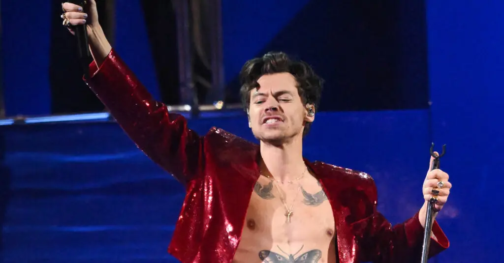 Harry Styles winces in pain after being once again hit in the eye by object thrown on stage by fan