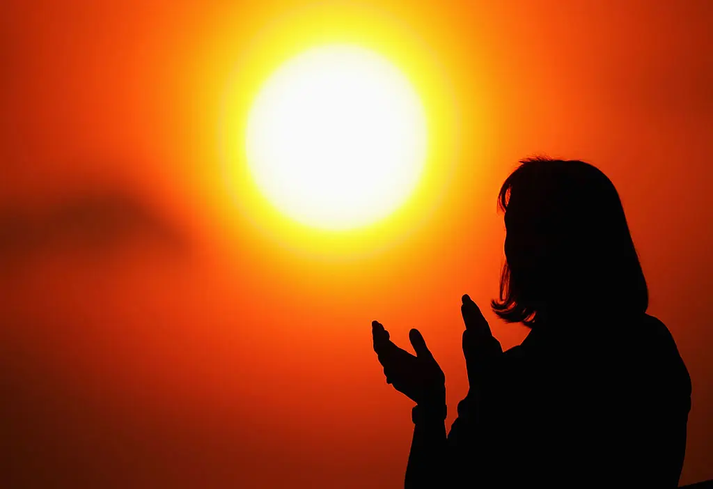 size-full wp-image-1263220266