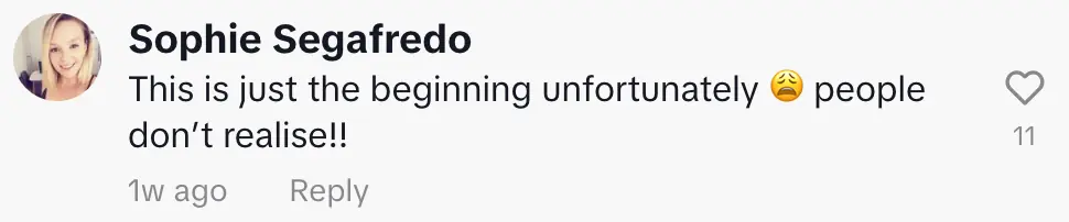 wp-image-1263219612 size-full