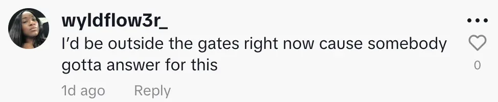 wp-image-1263221311 size-full