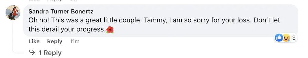 size-full wp-image-1263218952