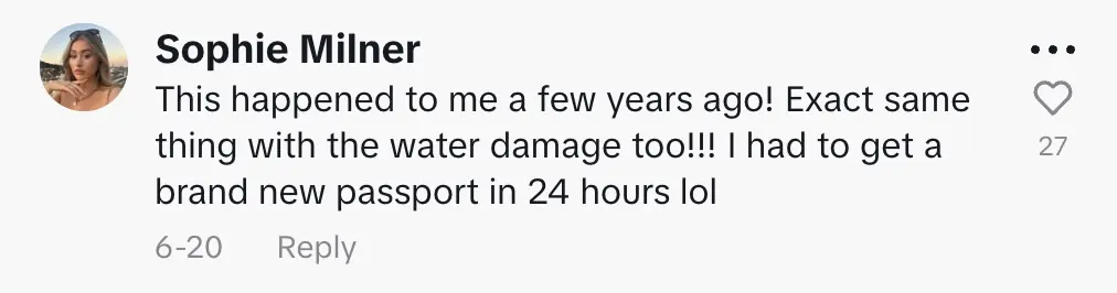 wp-image-1263219550 size-full