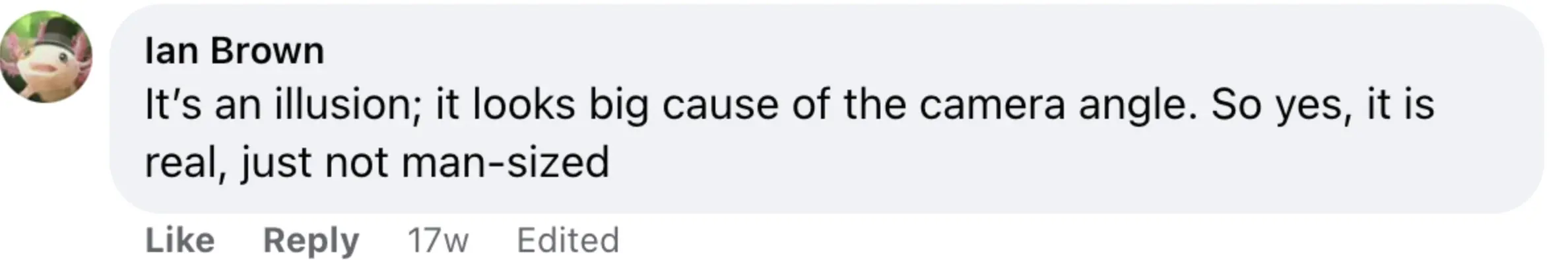 size-full wp-image-1263221639