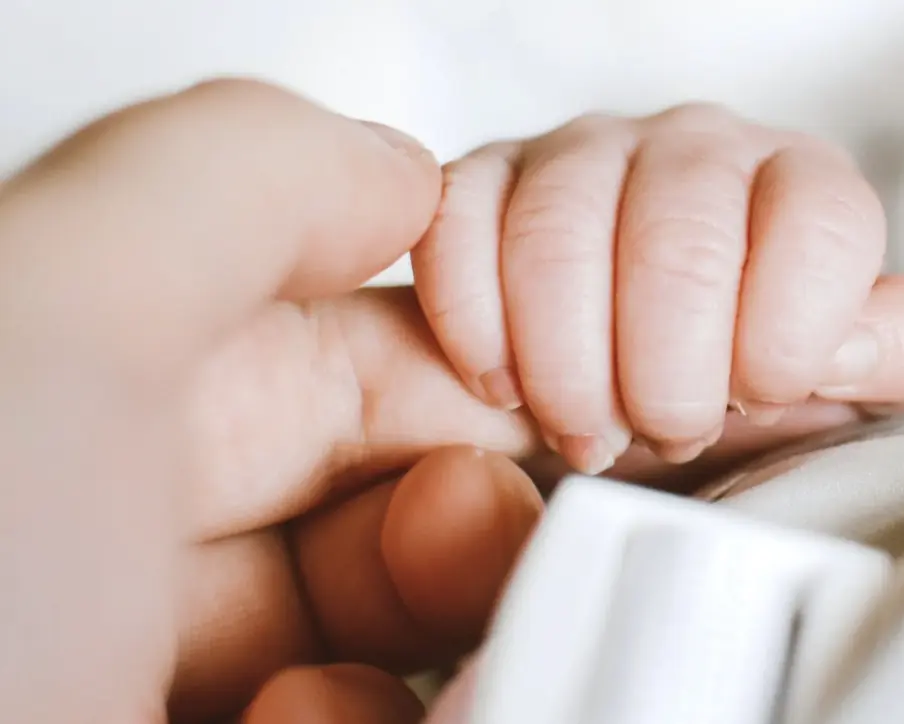 size-full wp-image-1263222659