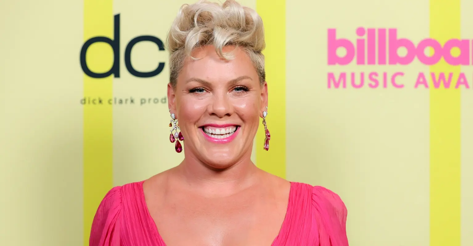 Pink absolutely destroys troll who said she 'looks so old she should be named Purple'