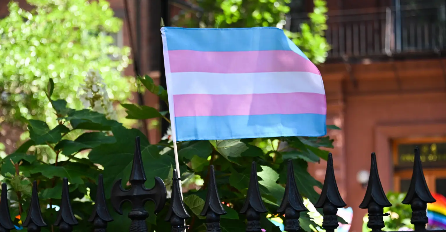 Transgender woman is crowned Miss Netherlands for the first time